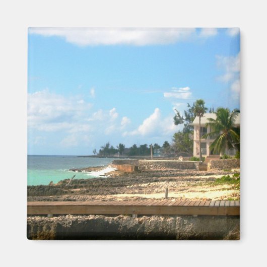 海 マグネット (正面)