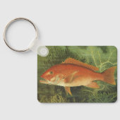 海、ヴィンテージ海洋生物の中の赤いスナッパーフィッシュ キーホルダー (裏面)