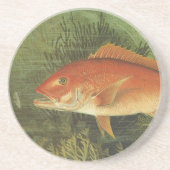 海、ヴィンテージ海洋生物の中の赤いスナッパーフィッシュ コースター (正面)