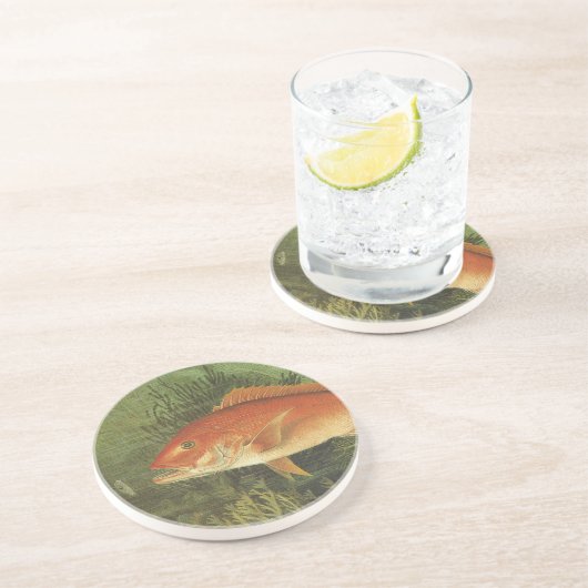海、ヴィンテージ海洋生物の中の赤いスナッパーフィッシュ コースター (側面)