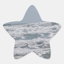 海 星シール