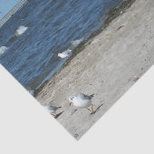 海，水，カモメ，鳥，旅行，青，空 薄葉紙 (詳細)