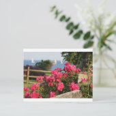 海、花 ポストカード (スタンド正面)