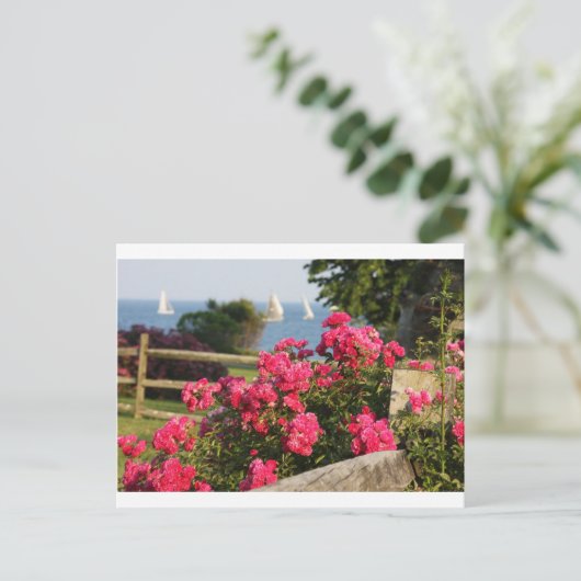 海、花 ポストカード (スタンド正面)