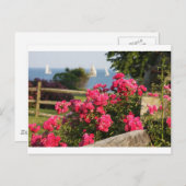 海、花 ポストカード (正面/裏面)