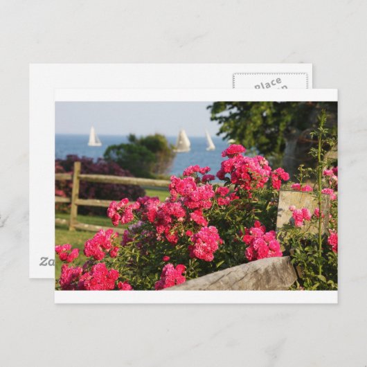 海、花 ポストカード (正面/裏面)