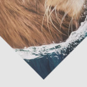 海 薄葉紙 (詳細)