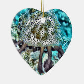 海Cucumber.jpg セラミックオーナメント (右)