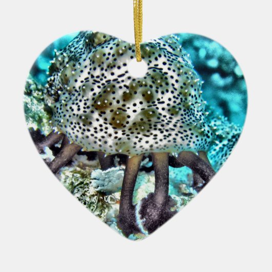 海Cucumber.jpg セラミックオーナメント (正面)