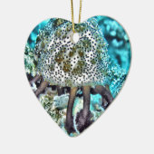 海Cucumber.jpg セラミックオーナメント (左)