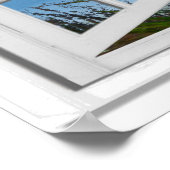 海Flamingosをオンにしたフェイクウィンドウの表示ビーチ ポスター (角)