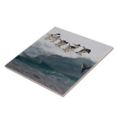 海Pauletteに潜っているアデリーペンギン タイル (側面)