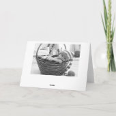 浸される縞で飾ります カード (裏面)