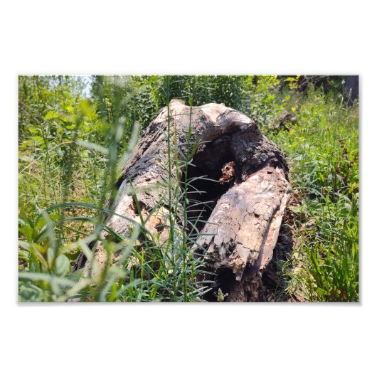 浸食彫刻 フォトプリント            (正面)