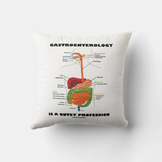 消化器学は味気な職業だ クッション (裏面)