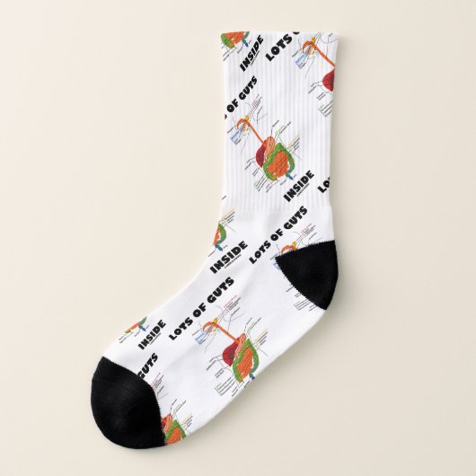 消化器系の中の多くの内臓 ソックス (左外側)