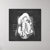 消化器系ドクターギフトの解剖学アート キャンバスプリント (正面)