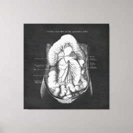 消化器系ドクターギフトの解剖学アート キャンバスプリント