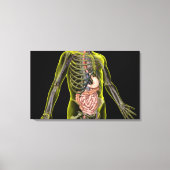 消化器系 キャンバスプリント (正面)