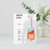 消化器系 ポストカード (スタンド正面)