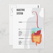 消化器系 ポストカード (正面/裏面)