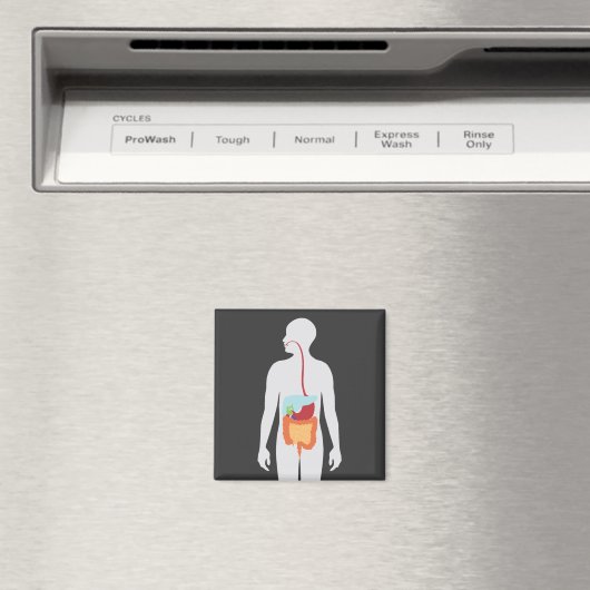 消化器系 マグネット (インサイチュ (食洗機))