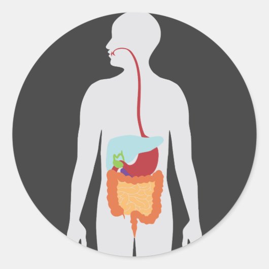 消化器系 ラウンドシール (正面)