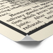 消化器解剖学アートプリント#1 ポスター (角)