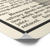 消化器解剖学アートプリント#5 ポスター (角)