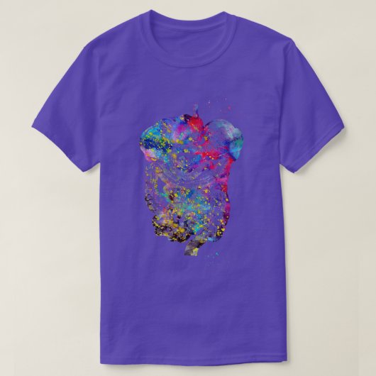 消化器 Tシャツ (デザイン正面)