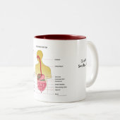 消化系… ツートーンマグカップ (正面右)