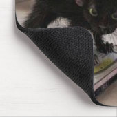 消去の子猫 マウスパッド (コーナー)