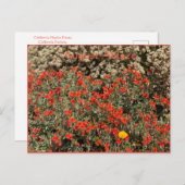 消威厳がある焼はがき ポストカード (正面/裏面)