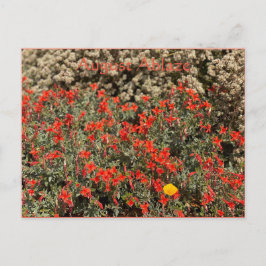 消威厳がある焼はがき ポストカード