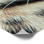 消滅 ポスター (角)