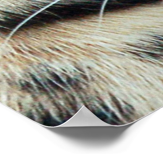 消滅 ポスター (角)