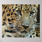 消滅 ポスター (正面)