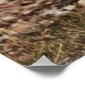 消火栓の閉鎖 ポスター (角)