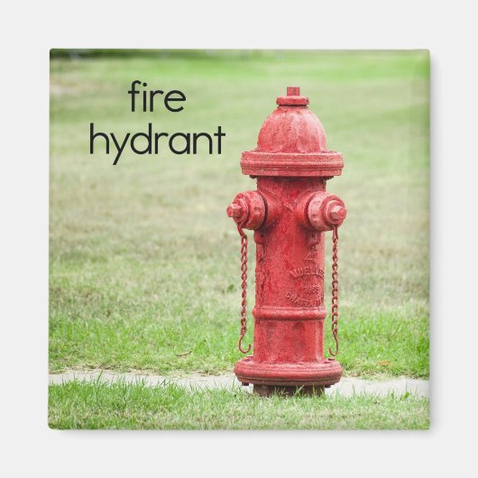 消火栓用冷凍機マグネット マグネット (正面)