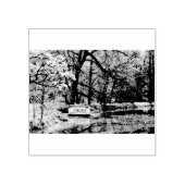 消色湖 ラバースタンプ (インプリント)