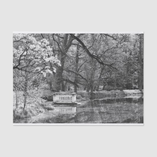 消色湖 薄葉紙 (正面)