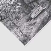 消色湖 薄葉紙 (詳細)