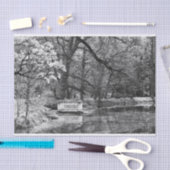 消色湖 薄葉紙 (クラフト)