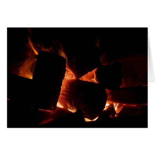 消防坑冬燃え丸太 (正面横)