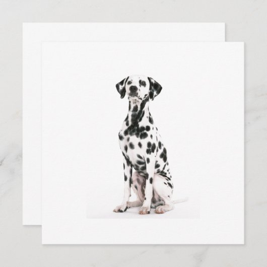 消防犬招待状 招待状 (正面/裏面)