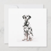 消防犬招待状 招待状 (正面)