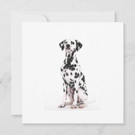 消防犬招待状 招待状 (正面)