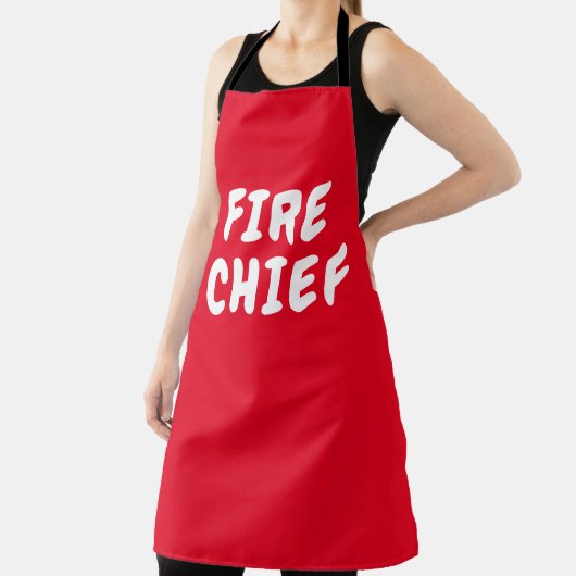 消防署長 エプロン (インサイチュ)