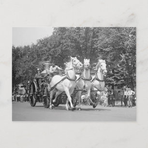 消防署Horses 1925年 ポストカード