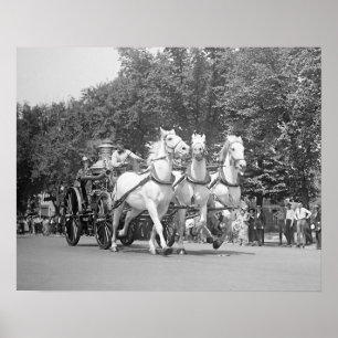 消防馬、1925年。ヴィンテージ写真 ポスター